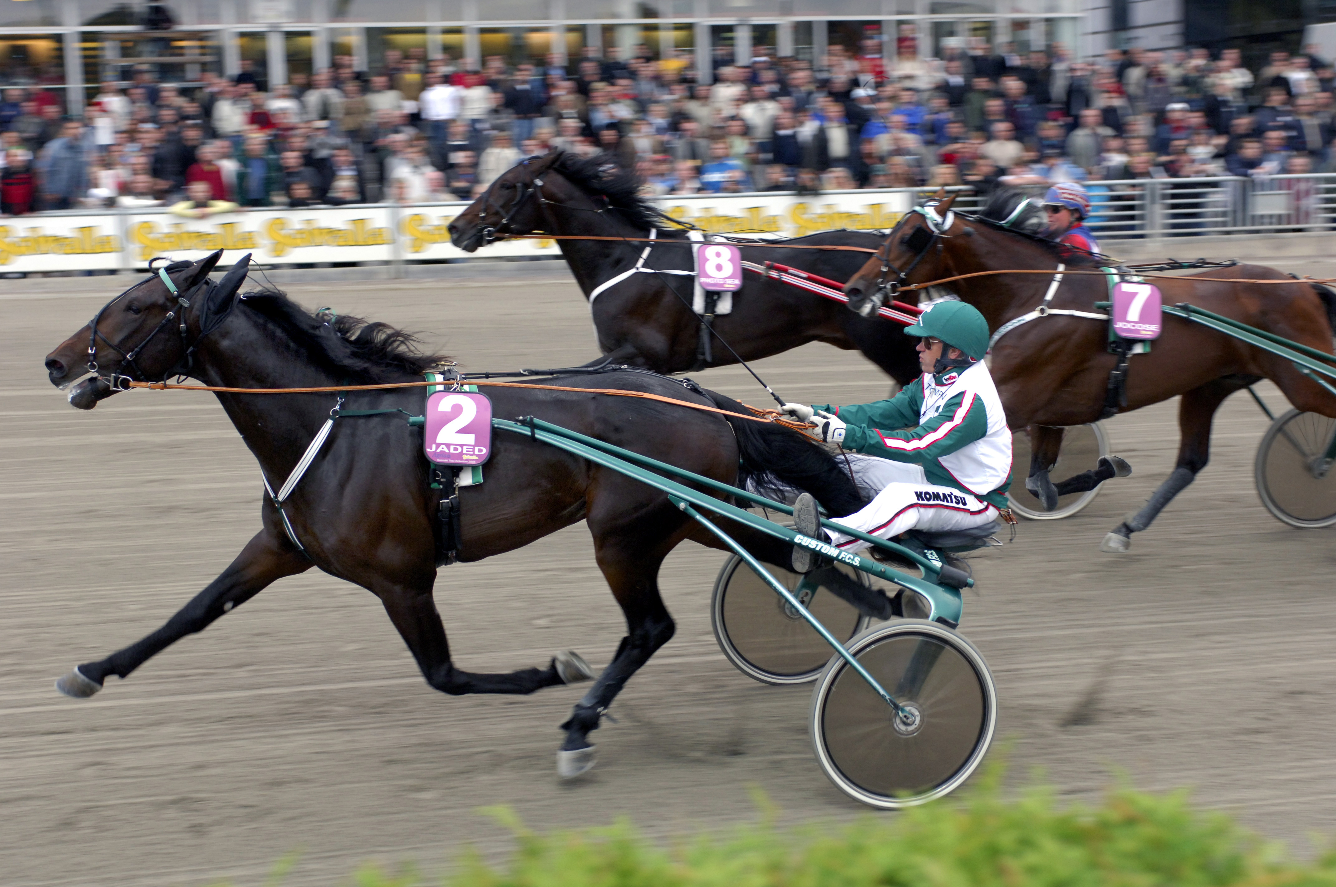 I oktober körs Kriteriet som är årets största lopp för de svenskfödda treåringarna. Här 2005-års vinnare Jaded med bästa kompisen Jocose som trea. Foto; C.Kärrstrand